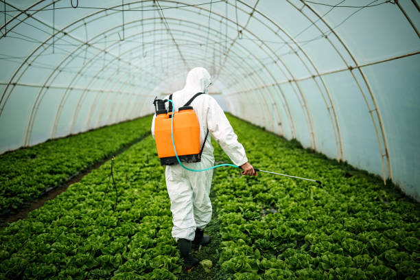 Best Commercial Pest Control Services  in Hollister, MO