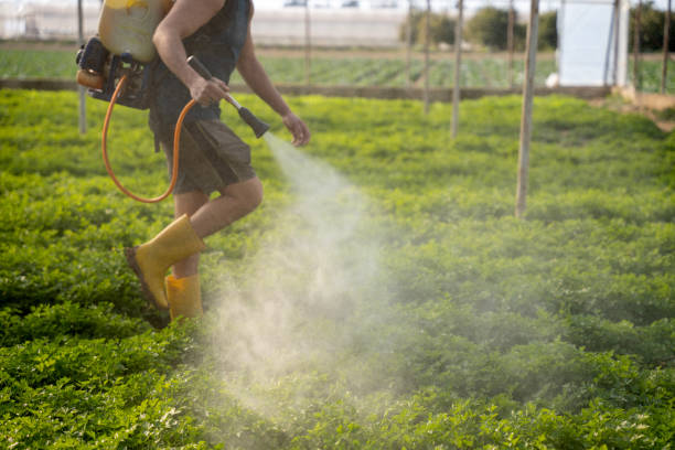 Professional Pest Control in Hollister, MO